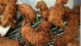 爆怨公社　紅貴賓炸雞