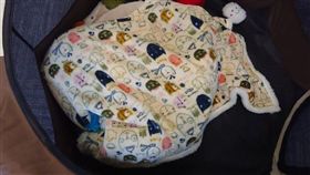 寵物,柴犬,狗狗(圖/翻攝自@purplegrey Reddit)