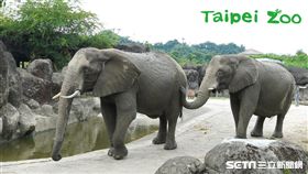 台北市立動物園