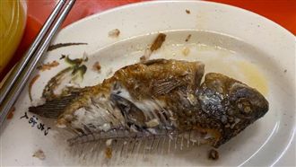 魚刺算「廚餘」還是「垃圾」？正確丟法曝