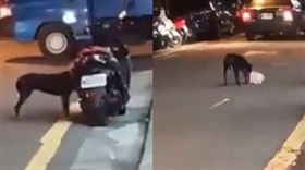 外送員,機車,食物,小狗,打劫。（圖／翻攝自《爆廢公社》）