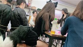 萬聖節,狐狸,正妹,身材（圖／翻攝自爆廢公社二館）