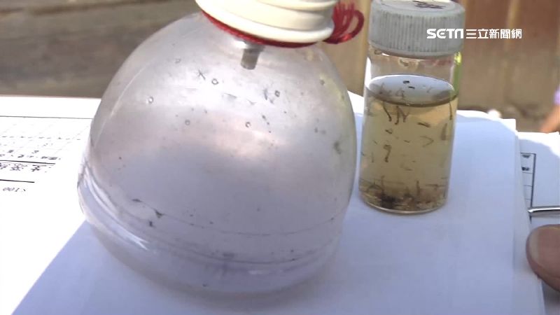 台灣登革熱疫情創新高　醫揭兩關鍵防蚊