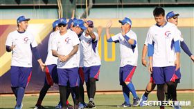 世界12強棒球賽,P12,中華隊（圖／記者林聖凱攝影）