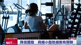 船井極纖錠(業配勿用)