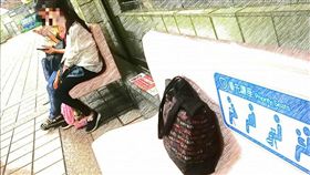 大媽急廁所「包包丟長椅」大馬女驚呆：台灣治安真那麼好？（圖／翻攝自爆怨公社）