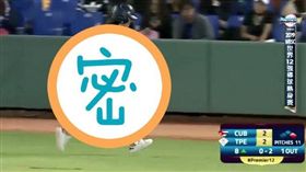 D罩杯,女球僮,12強棒球賽,PTT　圖／翻攝自PTT