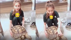 爆乳,烏龜,老司機,馬尾(加藤軍路邊隨手拍)