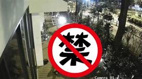 誰把店外盆栽搞壞？野戰男女做愛全都錄　啪到花草都給弄死 圖翻攝自微博