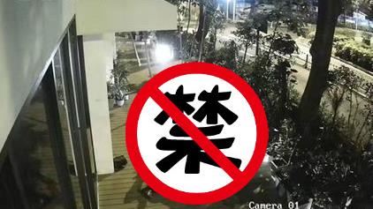 男樹叢旁衝刺！他見「啪啪對象」嚇壞