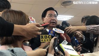 台巴邦誼生變？　吳釗燮：目前很穩定