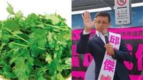 呱吉籌組新政黨 香菜（組合圖／資料照）