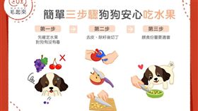 
名家專用／毛起來MAOUP（勿用）