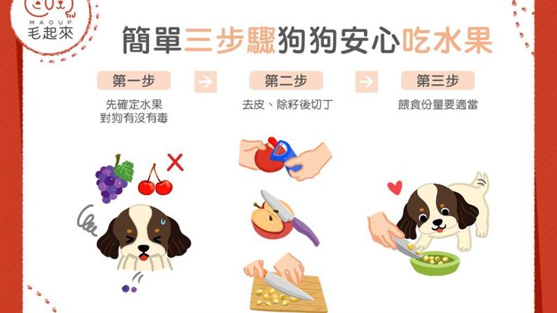 簡單3步驟！　狗狗安心吃水果