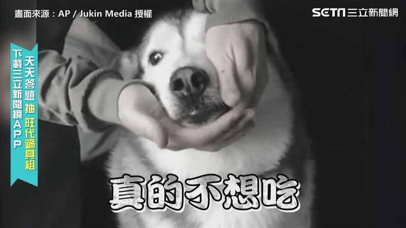 不想吃藥！　主人餵藥汪星人見招拆招