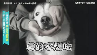 不想吃藥！　主人餵藥汪星人見招拆招