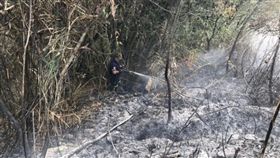 南投,清境農場,原住民山坡保留地,火警（圖／翻攝畫面） 