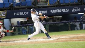 3局下擊出3分砲的日本隊鈴木誠也（圖／棒協提供。）