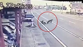 高中生騎車遇「小天坑」重摔撞頭昏迷