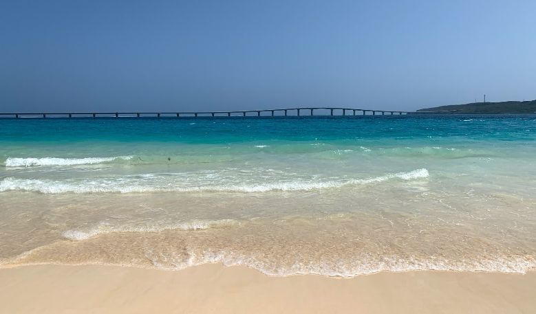 陸客遊宮古島丟垃圾搶物資　日人傻眼