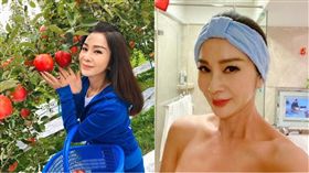 陳美鳳/翻攝自臉書