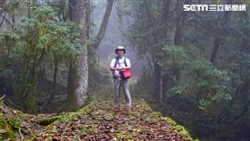金獎導演麥覺明11年追逐熊跡　首部山林生態電影 《黑熊來了》圖／牽猴子提供
