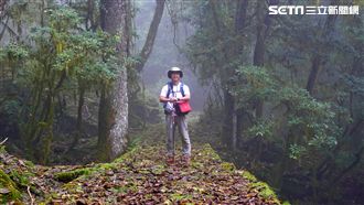 花11年拍攝！他揭台灣黑熊神秘面紗