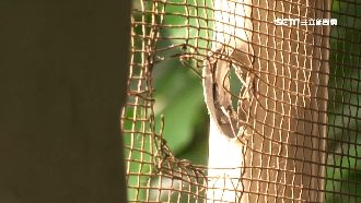 住家旁聊天　險遭軍方靶場流彈打中