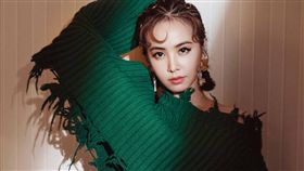 蔡依林。（圖／翻攝自蔡依林IG）