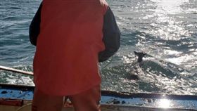 出海捕龍蝦！海中撈出一隻漂浮「鹿」　漁夫展開溫馨救援（圖／翻攝自Ren Dorr臉書）