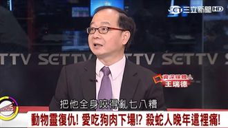 動物靈？愛吃狗肉的下場令人膽顫心驚