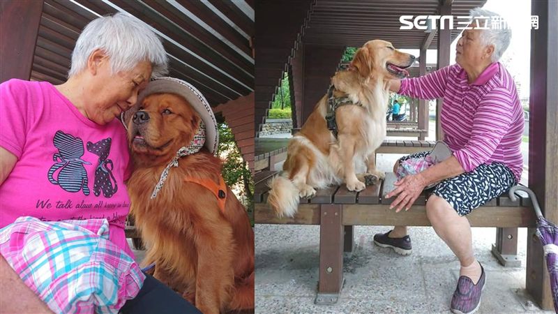 心愛主人去世！　公園嬤這舉動超暖心