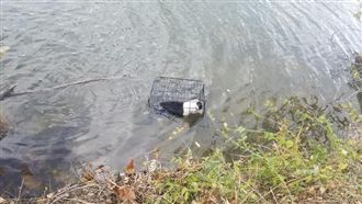 湖邊驚見「狗浸豬籠」　男捨命跳水救