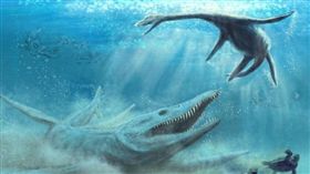 「上龍」(SCIENCE IN POLAND)