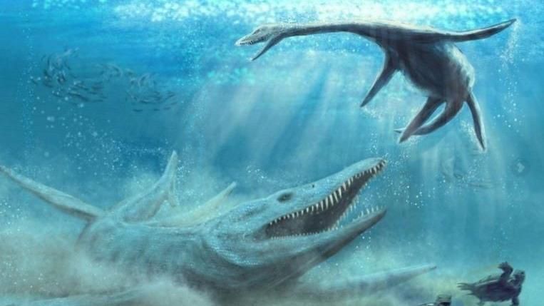 波蘭挖到1.5億年前「海怪」化石