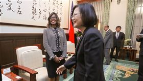 蔡總統接見美國醫師會會長哈里斯（1）總統蔡英文（前右）8日在總統府接見美國醫師會（The American Medical Association, AMA）現任會長哈里斯（Patrice Harris）（左），歡迎她來台訪問。中央社記者裴禛攝  108年11月8日