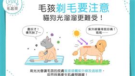 名家／毛起來（勿用）
