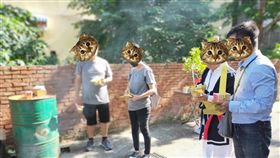 虐貓,靈異公社,法會,靈異照片
圖／翻攝自靈異公社