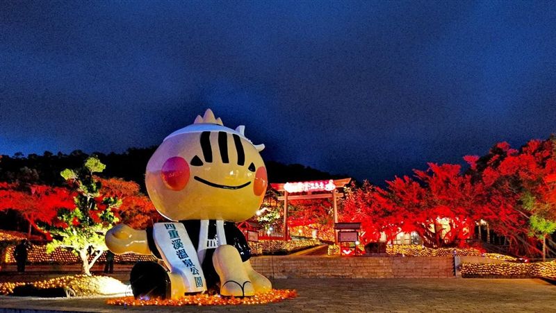 四重溪溫泉公園落葉秋楓染紅山頭
