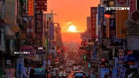 拍懸日占路0800(DL)