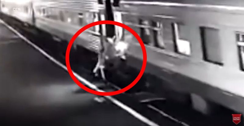 女趕車跳上火車！下秒墜軌遭輾斷腿