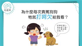 
名家專用／毛起來MAOUP（勿用）