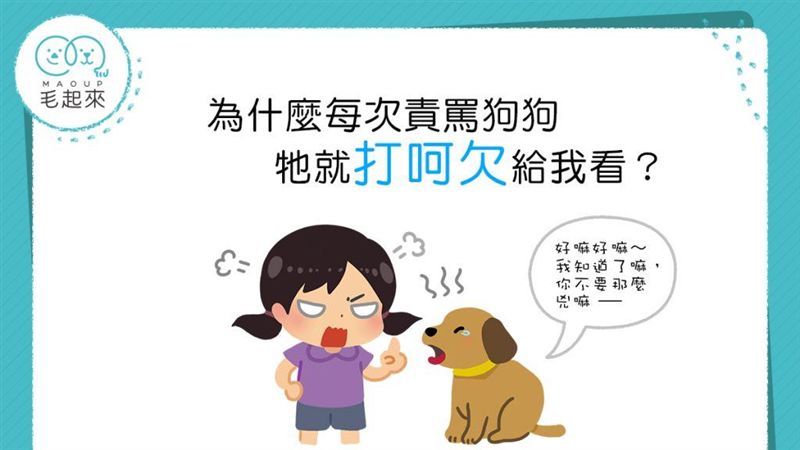 一罵狗狗就打哈欠　難道是在嫌我煩？