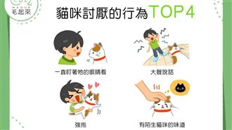 我被貓貓討厭了嗎？這行為讓貓咪討厭