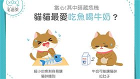 名家專用／毛起來MAOUP（勿用）