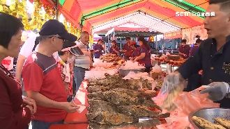 石斑魚節促銷！龍膽石斑、龍虎斑半價