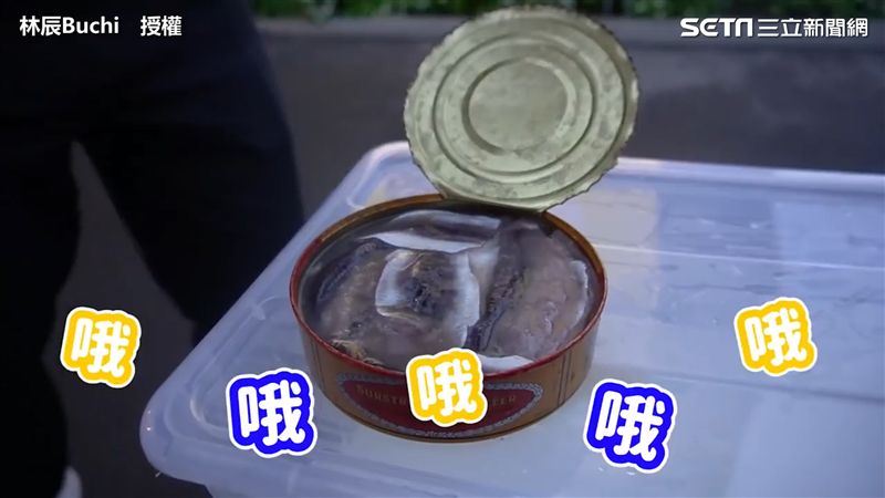 瑞典人開鯡魚罐頭　網驚：臭氣消失？