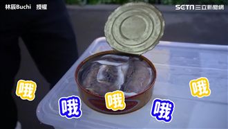 瑞典人開鯡魚罐頭　網驚：臭氣消失？