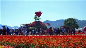 台中花毯節新社登場　打造小王子與玫瑰相遇場景2019台中國際花毯節結合新社花海、中台灣農業博覽會，9日一同開幕，今年花毯節以「愛與希望─小王子的星球之旅」為主題，每天整點動態呈現小王子與玫瑰相逢場景，開幕首日就吸引大批民眾前往朝聖。（台中市政府提供）中央社記者郝雪卿傳真　108年11月9日