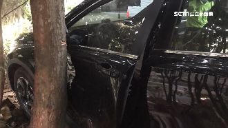 忘拉手煞車撞樹！婦腿卡車門縫嚇報警